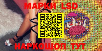 крисы Кандалакша