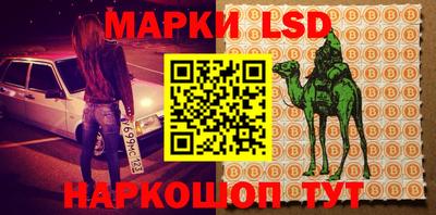 индика Гагарин