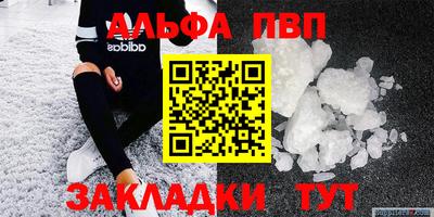 стаф Гатчина