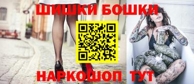 стаф Гатчина