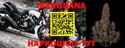 стаф Гатчина