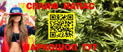 стаф Гатчина