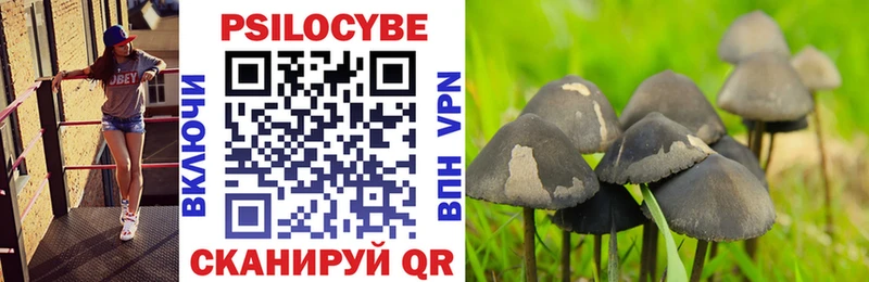 купить наркоту  Кольчугино  Псилоцибиновые грибы GOLDEN TEACHER 