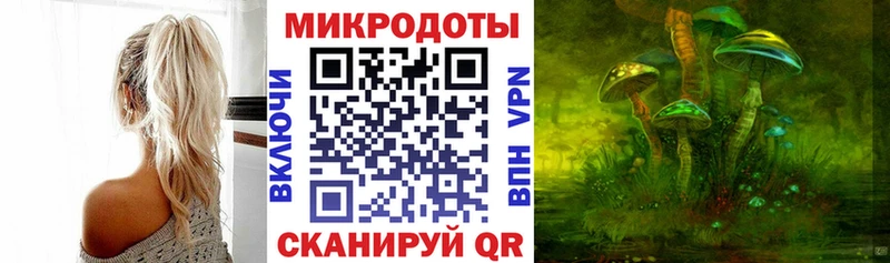 Псилоцибиновые грибы прущие грибы Кольчугино