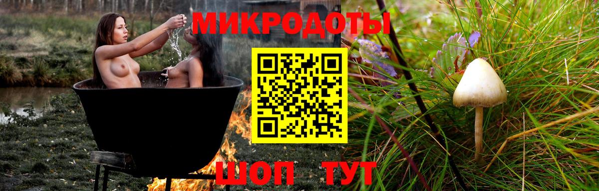 Псилоцибиновые грибы Magic Shrooms  где купить наркоту  Кольчугино  Галлюциногенные грибы Psilocybine cubensis  Вход с VPN 