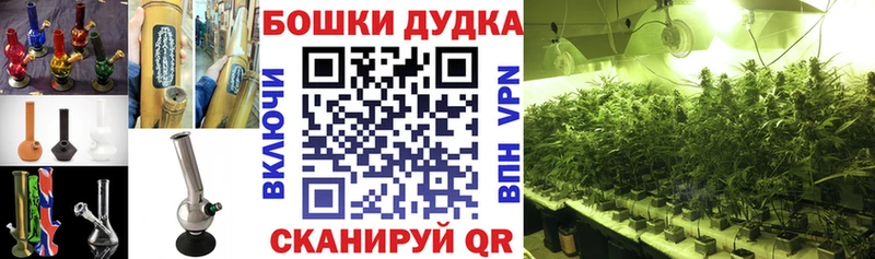 как найти закладки  Кольчугино  Конопля сатива 
